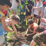 Primer grado planta un árbol