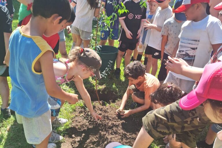 Primer grado planta un árbol