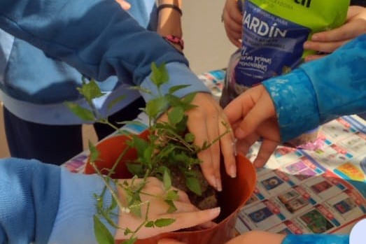 Lee más sobre el artículo Comité ambiental